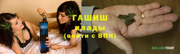 гидра Абаза