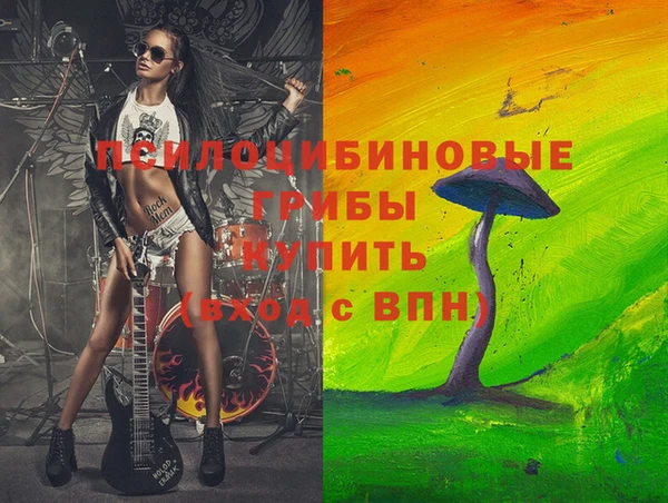 гидра Абаза