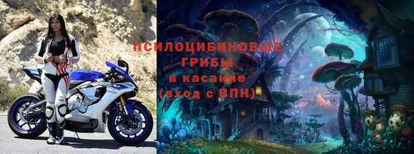 гидра Абаза