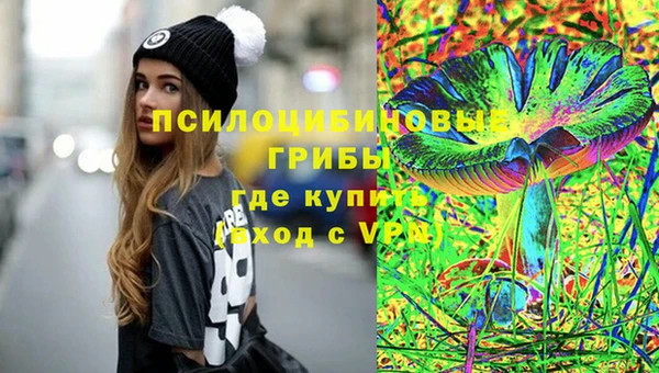 гидра Абаза