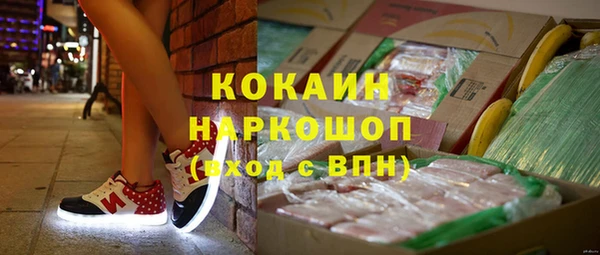 стаф Абинск