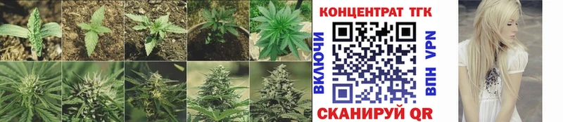ТГК вейп с тгк  купить наркотики цена  Стерлитамак 